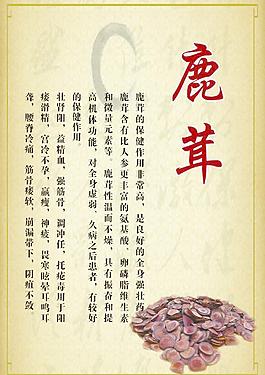 中药图片