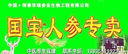 國寶人參圖片