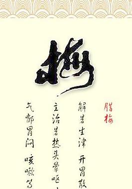 梅花圖片