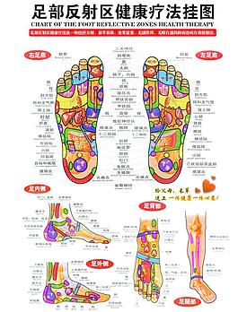 足部反射區(qū)寫真圖片
