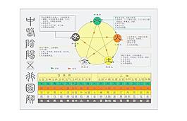中醫陰陽五行圖圖片