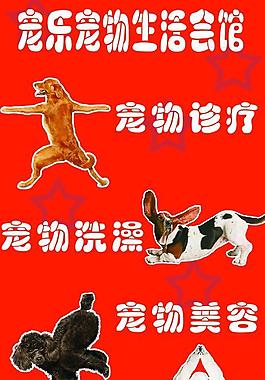 寵物店宣傳墻圖片