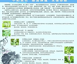 中藥美白顏面保健永葆容顏圖片