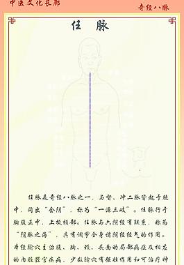 奇經(jīng)八脈 任脈圖片