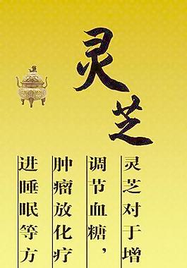靈芝圖片