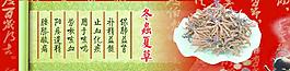 冬蟲夏草圖片
