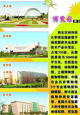 易拉宝图片