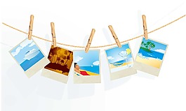 夏季素材