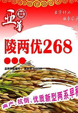 水稻易拉寶圖片