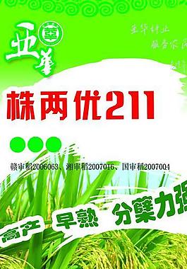 水稻易拉寶圖片