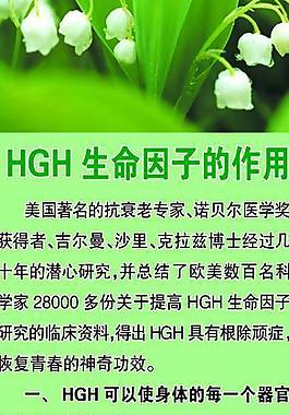 hgh 易拉寶圖片