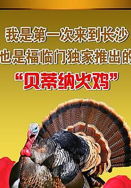 火鸡易拉宝图片