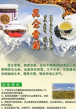 昆侖雪菊易拉寶圖片