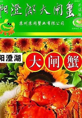 陽澄大閘蟹易拉寶圖片