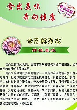 食用菊易拉寶圖片