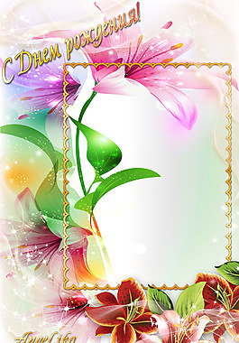 精美絢麗鮮花相框