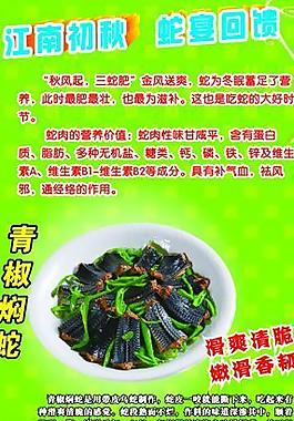 口味蛇易拉寶圖片