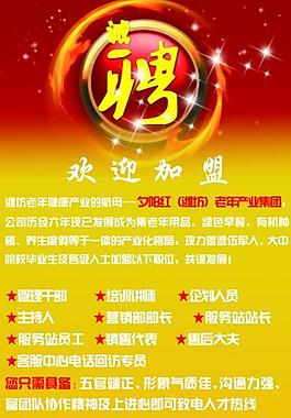 招聘設(shè)計易拉寶圖片