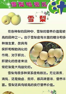 雪梨哈密瓜的营养价值易拉宝图片