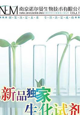 生物科技易拉寶設計圖片