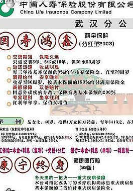 中国人寿易拉宝图片