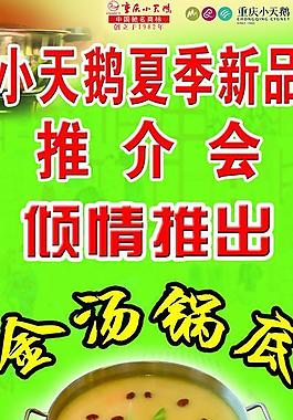 小天鵝易拉寶圖片