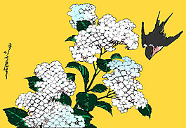 花燕
