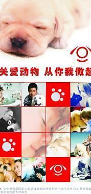 寵物展架 海報(bào)圖片