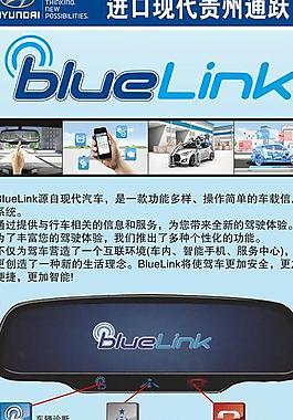 bluelink展架图片