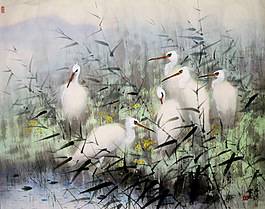 白鷺河邊水草花草岸邊鳥(niǎo)類(lèi)飛鳥(niǎo)