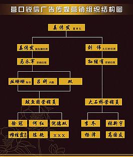 營銷組織結構圖圖片