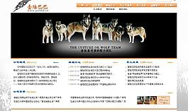 企業(yè)網(wǎng)站圖片