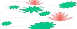 荷花圖片