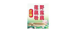 荷花圖片