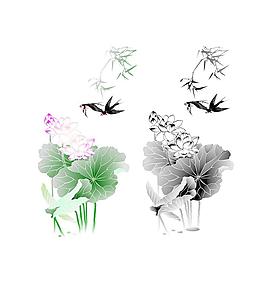 荷花图片