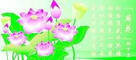 荷花圖片