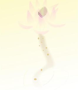 荷花圖片