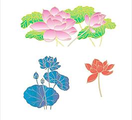 荷花圖片