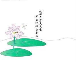 荷花圖片