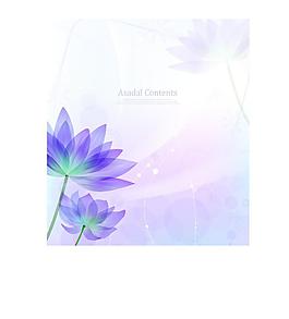 荷花圖片