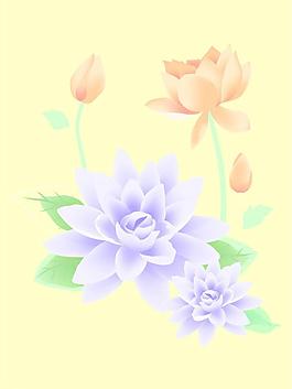 荷花圖片
