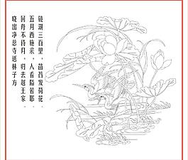 荷花圖片