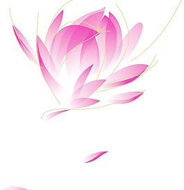 荷花图片