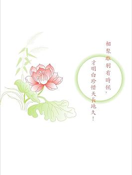 荷花圖片