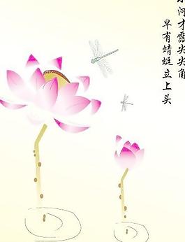 荷花圖片