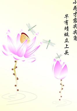 荷花图片