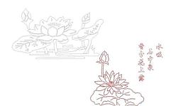 荷花圖片