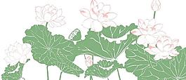 荷花圖片