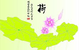 荷花图片