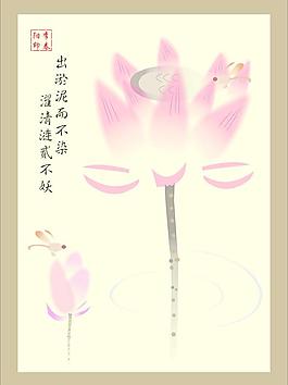 荷花圖片